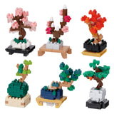 mininano Bonsai Collection CDU (6 Designs)