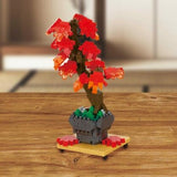 Bonsai Maple - OUT OF STOCK: ETA Late Sep