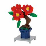 Bonsai Camellia - OUT OF STOCK: ETA Late Sep