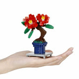 Bonsai Camellia - OUT OF STOCK: ETA Late Sep
