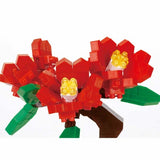 Bonsai Camellia - OUT OF STOCK: ETA Late Sep