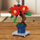 Bonsai Camellia - OUT OF STOCK: ETA Late Sep