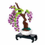 Bonsai Wisteria - OUT OF STOCK: ETA Late Sep