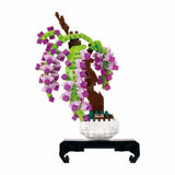 Bonsai Wisteria - OUT OF STOCK: ETA Late Sep