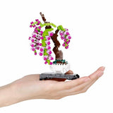 Bonsai Wisteria - OUT OF STOCK: ETA Late Sep