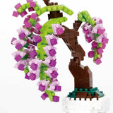 Bonsai Wisteria - OUT OF STOCK: ETA Late Sep