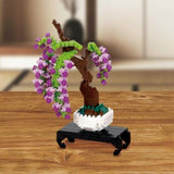 Bonsai Wisteria - OUT OF STOCK: ETA Late Sep