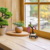 Bonsai Wisteria - OUT OF STOCK: ETA Late Sep