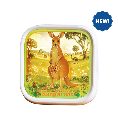 Light Up Australia - Kangaroos - OUT OF STOCK: ETA Mid Sep