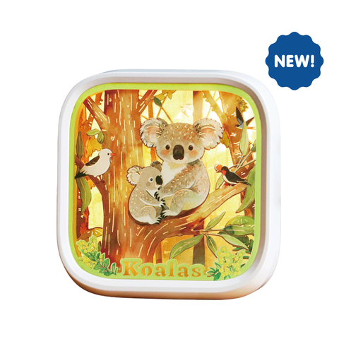 Light Up Australia - Koalas - OUT OF STOCK: ETA Mid Sep