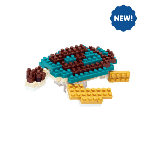 Green Sea Turtle - OUT OF STOCK: ETA Mid Apr