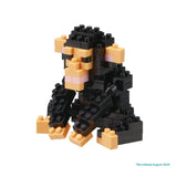 Chimpanzee