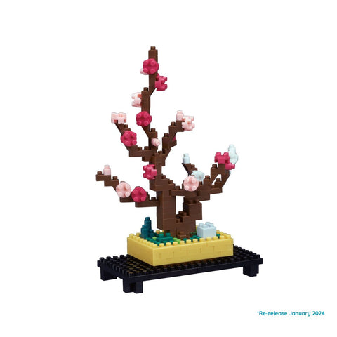 Plum Bonsai