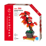 Bonsai Maple - OUT OF STOCK: ETA Late Sep
