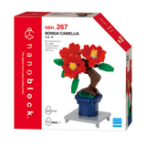 Bonsai Camellia - OUT OF STOCK: ETA Late Sep