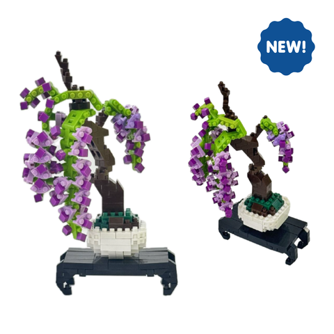 Bonsai Wisteria - OUT OF STOCK: ETA Late Sep