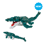 DX Mosasaurus