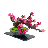 Bonsai Plum Deluxe Edition - OUT OF STOCK: ETA Mid Nov
