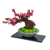 Bonsai Plum Deluxe Edition - OUT OF STOCK: ETA Mid Nov