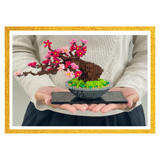 Bonsai Plum Deluxe Edition - OUT OF STOCK: ETA Mid Nov
