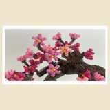 Bonsai Plum Deluxe Edition - OUT OF STOCK: ETA Mid Nov