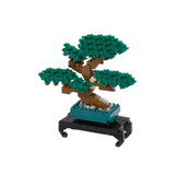 Pine Bonsai