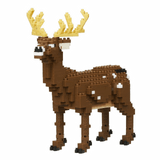 DX Deer