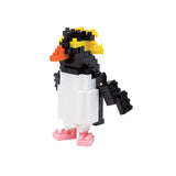 Rockhopper Penguin - OUT OF STOCK: ETA Mid Apr